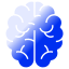 Education and Training 20 Icon